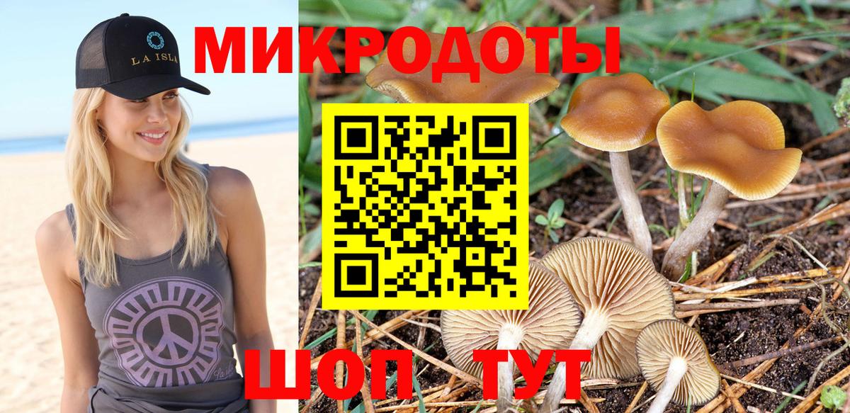 Галлюциногенные грибы GOLDEN TEACHER  Вход с VPN  Кстово 