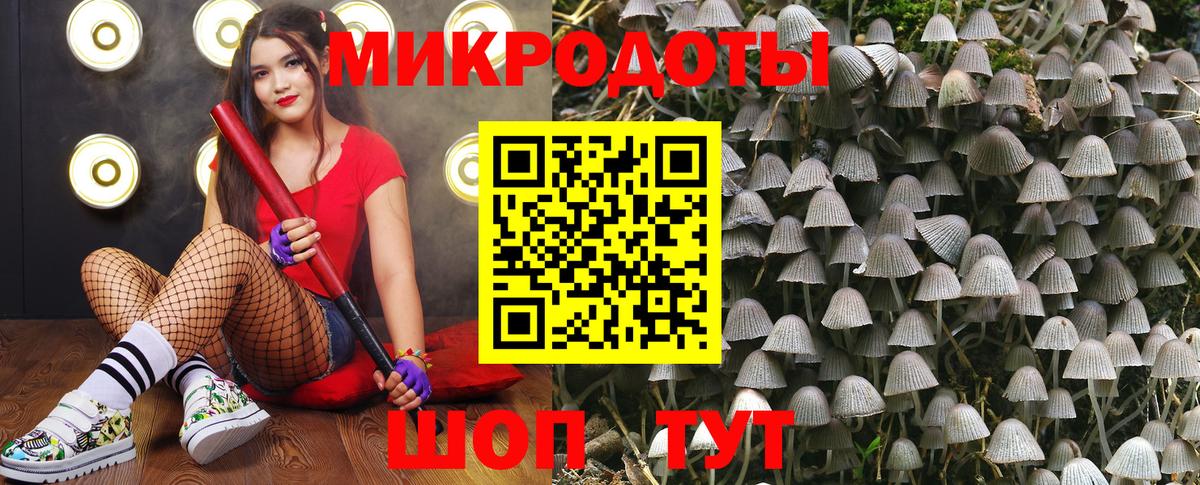 Галлюциногенные грибы Psilocybine cubensis Кстово